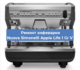 Чистка кофемашины Nuova Simonelli Appia Life 1 Gr V от накипи в Нижнем Новгороде